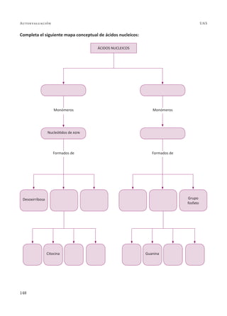 148
Autoevaluación UAS
Completa el siguiente mapa conceptual de ácidos nucleicos:
ÁCIDOS NUCLEICOS
Monómeros
Nucleótidos de adn
Formados de
Monómeros
Formados de
Citocina Guanina
Desoxirribosa Grupo
fosfato
 