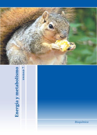 Bioquímica
Energía
y
metabolismo
unidad
7
 