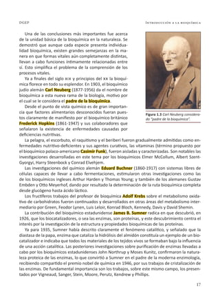 Introducción a la bioquímica
17
DGEP
Una de las conclusiones más importantes fue acerca
de la unidad básica de la bioquímica en la naturaleza. Se
demostró que aunque cada especie presenta individua-
lidad bioquímica, existen grandes semejanzas en la ma-
nera en que formas vitales aún completamente distintas,
llevan a cabo funciones íntimamente relacionadas entre
sí. Esto simplifica el problema de la comprensión de los
procesos vitales.
Ya a finales del siglo xix y principios del xx la bioquí-
mica florece en todo su esplendor. En 1903, el bioquímico
judío alemán Carl Neuberg (1877-1956) da el nombre de
bioquímica a esta nueva rama de la biología, motivo por
el cual se le considera el padre de la bioquímica.
Desde el punto de vista químico es de gran importan-
cia que factores alimentarios desconocidos fueran pues-
tos claramente de manifiesto por el bioquímico británico
Frederick Hopkins (1861-1947) y sus colaboradores que
señalaron la existencia de enfermedades causadas por
deficiencias nutritivas.
La pelagra, el escorbuto, el raquitismo y el beriberi fueron gradualmente admitidas como en-
fermedades nutritivo-deficientes y sus agentes curativos, las vitaminas (término propuesto por
el bioquímico polaco-americano Casimir Funk), fueron aisladas y caracterizadas. Son notables las
investigaciones desarrolladas en este tema por los bioquímicos Elmer McCollum, Albert Szent-
Gyorgyi, Harry Steenbock y Conrad Elvehjem.
Las investigaciones del químico alemán Eduard Buchner (1860-1917) con sistemas libres de
células capaces de llevar a cabo fermentaciones, estimularon otras investigaciones como las
de los bioquímicos ingleses Arthur Harden y Thomas Young; y también de los alemanes Gustav
Embden y Otto Meyerhof, dando por resultado la determinación de la ruta bioquímica completa
desde glucógeno hasta ácido láctico.
Los fructíferos trabajos del profesor de bioquímica Adolf Krebs sobre el metabolismo oxida-
tivo de carbohidratos fueron continuados y desarrollados en otras áreas del metabolismo inter-
mediario por Green, Feodor Lynen, Luis Leloir, Konrad Bloch, Kennedy, Davis y David Shemin.
La contribución del bioquímico estadunidense James B. Sumner radica en que descubrió, en
1926, que los biocatalizadores, o sea las enzimas, son proteínas, y este descubrimiento centra el
interés por la investigación de la estructura y propiedades bioquímicas de las proteínas.
Ya para 1935, Sumner había descrito claramente el fenómeno catalítico, y señalado que la
diastasa de la papa, enzima que cataliza la hidrólisis del almidón constituía un ejemplo de un bio-
catalizador e indicaba que todos los materiales de los tejidos vivos se formaban bajo la influencia
de una acción catalítica. Las posteriores investigaciones sobre purificación de enzimas llevadas a
cabo por los bioquímicos estadunidenses John Northrup y Moses Kunitz, confirmaron la natura-
leza proteica de las enzimas, lo que convirtió a Sumner en el padre de la moderna enzimología,
recibiendo compartido el premio nobel de química en 1946, por sus trabajos de cristalización de
las enzimas. De fundamental importancia son los trabajos, sobre este mismo campo, los presen-
tados por Vigneaud, Sanger, Stein, Moore, Perutz, Kendrew y Phillips.
Figura 1.3 Carl Neuberg considera-
do “padre de la bioquímica”.
 