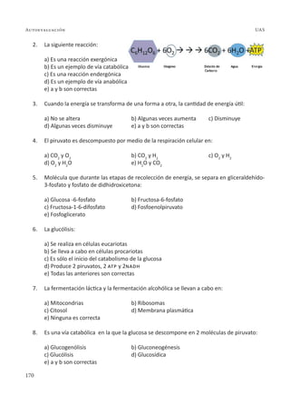 170
Autoevaluación UAS
2. La siguiente reacción:
a) Es una reacción exergónica
b) Es un ejemplo de vía catabólica
c) Es una reacción endergónica
d) Es un ejemplo de vía anabólica
e) a y b son correctas
3. Cuando la energía se transforma de una forma a otra, la cantidad de energía útil:
a) No se altera b) Algunas veces aumenta c) Disminuye
d) Algunas veces disminuye e) a y b son correctas
4. El piruvato es descompuesto por medio de la respiración celular en:
a) CO2
y O2
b) CO2
y H2
c) O2
y H2
d) O2
y H2
O e) H2
O y CO2
5. Molécula que durante las etapas de recolección de energía, se separa en gliceraldehído-
3-fosfato y fosfato de didhidroxicetona:
a) Glucosa -6-fosfato b) Fructosa-6-fosfato
c) Fructosa-1-6-difosfato d) Fosfoenolpiruvato
e) Fosfoglicerato
6. La glucólisis:
a) Se realiza en células eucariotas
b) Se lleva a cabo en células procariotas
c) Es sólo el inicio del catabolismo de la glucosa
d) Produce 2 piruvatos, 2 atp y 2nadh
e) Todas las anteriores son correctas
7. La fermentación láctica y la fermentación alcohólica se llevan a cabo en:
a) Mitocondrias b) Ribosomas
c) Citosol d) Membrana plasmática
e) Ninguna es correcta
8. Es una vía catabólica en la que la glucosa se descompone en 2 moléculas de piruvato:
a) Glucogenólisis b) Gluconeogénesis
c) Glucólisis d) Glucosídica
e) a y b son correctas
 