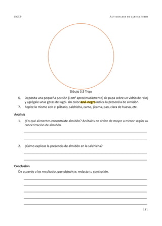 181
Actividades de laboratorio
DGEP
6. Deposita una pequeña porción (1cm3
aproximadamente) de papa sobre un vidrio de reloj
y agrégale unas gotas de lugol. Un color azul-negro indica la presencia de almidón.
7. Repite lo mismo con el plátano, salchicha, carne, jícama, pan, clara de huevo, etc.
Análisis
1. ¿En qué alimentos encontraste almidón? Anótalos en orden de mayor a menor según su
concentración de almidón.
________________________________________________________________________
________________________________________________________________________
2. ¿Cómo explicas la presencia de almidón en la salchicha?
________________________________________________________________________
________________________________________________________________________
Conclusión
De acuerdo a los resultados que obtuviste, redacta tu conclusión.
________________________________________________________________________
________________________________________________________________________
________________________________________________________________________
________________________________________________________________________
________________________________________________________________________
Dibujo 3.5 Trigo
 