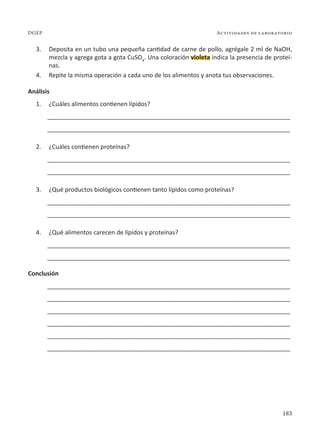 183
Actividades de laboratorio
DGEP
3. Deposita en un tubo una pequeña cantidad de carne de pollo, agrégale 2 ml de NaOH,
mezcla y agrega gota a gota CuSO4
. Una coloración violeta indica la presencia de proteí-
nas.
4. Repite la misma operación a cada uno de los alimentos y anota tus observaciones.
Análisis
1. ¿Cuáles alimentos contienen lípidos?
________________________________________________________________________
________________________________________________________________________
2. ¿Cuáles contienen proteínas?
________________________________________________________________________
________________________________________________________________________
3. ¿Qué productos biológicos contienen tanto lípidos como proteínas?
________________________________________________________________________
________________________________________________________________________
4. ¿Qué alimentos carecen de lípidos y proteínas?
________________________________________________________________________
________________________________________________________________________
Conclusión
________________________________________________________________________
________________________________________________________________________
________________________________________________________________________
________________________________________________________________________
________________________________________________________________________
________________________________________________________________________
 