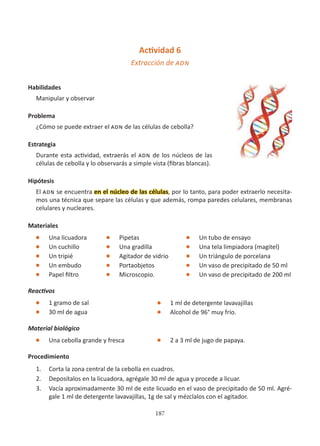 187
Actividad 6
Extracción de adn
Habilidades
Manipular y observar
Problema
¿Cómo se puede extraer el adn de las células de cebolla?
Estrategia
Durante esta actividad, extraerás el adn de los núcleos de las
células de cebolla y lo observarás a simple vista (fibras blancas).
Hipótesis
El adn se encuentra en el núcleo de las células, por lo tanto, para poder extraerlo necesita-
mos una técnica que separe las células y que además, rompa paredes celulares, membranas
celulares y nucleares.
Materiales
l Una licuadora
l Un cuchillo
l Un tripié
l Un embudo
l Papel filtro
Reactivos
l 1 gramo de sal
l 30 ml de agua
Material biológico
l Una cebolla grande y fresca
Procedimiento
1. Corta la zona central de la cebolla en cuadros.
2. Deposítalos en la licuadora, agrégale 30 ml de agua y procede a licuar.
3. Vacía aproximadamente 30 ml de este licuado en el vaso de precipitado de 50 ml. Agré-
gale 1 ml de detergente lavavajillas, 1g de sal y mézclalos con el agitador.
l Pipetas
l Una gradilla
l Agitador de vidrio
l Portaobjetos
l Microscopio.
l 1 ml de detergente lavavajillas
l Alcohol de 96° muy frío.
l 2 a 3 ml de jugo de papaya.
l Un tubo de ensayo
l Una tela limpiadora (magitel)
l Un triángulo de porcelana
l Un vaso de precipitado de 50 ml
l Un vaso de precipitado de 200 ml
 