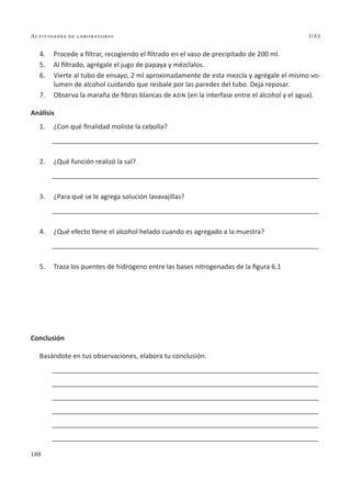 188
Actividades de laboratorio UAS
4. Procede a filtrar, recogiendo el filtrado en el vaso de precipitado de 200 ml.
5. Al filtrado, agrégale el jugo de papaya y mézclalos.
6. Vierte al tubo de ensayo, 2 ml aproximadamente de esta mezcla y agrégale el mismo vo-
lumen de alcohol cuidando que resbale por las paredes del tubo. Deja reposar.
7. Observa la maraña de fibras blancas de adn (en la interfase entre el alcohol y el agua).
Análisis
1. ¿Con qué finalidad moliste la cebolla?
________________________________________________________________________
2. ¿Qué función realizó la sal?
________________________________________________________________________
3. ¿Para qué se le agrega solución lavavajillas?
________________________________________________________________________
4. ¿Qué efecto tiene el alcohol helado cuando es agregado a la muestra?
________________________________________________________________________
5. Traza los puentes de hidrógeno entre las bases nitrogenadas de la figura 6.1
Conclusión
Basándote en tus observaciones, elabora tu conclusión.
________________________________________________________________________
________________________________________________________________________
________________________________________________________________________
________________________________________________________________________
________________________________________________________________________
________________________________________________________________________
 