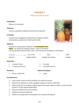 190
Actividad 7
Elaboración de tepache
		
Habilidades
Observar y manipular.
Problema
¿Cómo se produce la bebida conocida como tepache?
Estrategia
Durante esta investigación elaborarás una bebida alcohóli-
ca (tepache), usando como materia prima piña.
Hipótesis
El tepache es producido mediante una fermentación alco-
hólica. Las células de levadura llevan a cabo la fermenta-
ción que produce alcohol etílico y CO2
. La fermentación alcohólica es anaeróbica.
C6
H12
O6
2C2
H5
OH + 2CO2
+ 2ATP
Glucosa Alcohol etílico Bióxido de carbono Energía
Materiales
l 1 olla de 3 litros
l 1 cuchara de cocina
Reactivos
l Azúcar o piloncillo
Procedimiento
1. Lava y parte la piña en varios pedazos con todo y la cáscara.
2. Deposita los pedazos en la olla, agrégale el agua y el azúcar o piloncillo.
3. Cubre la olla con la servilleta y déjala reposar hasta que captes el sabor y el olor del alco-
hol (de 5 a 8 días aproximadamente).
4. Separa los sólidos de la fermentación.
5. Refrigera el tepache obtenido.
6. Elabora una preparación microscópica con una gota de tepache.
l 1 cuchillo
l 1 servilleta de tela
Material biológico
l 1 piña
 