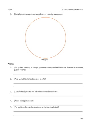 191
Actividades de laboratorio
DGEP
7. Dibuja los microorganismos que observes y escribe su nombre.
Análisis
1. ¿Por qué en invierno, el tiempo que se requiere para la elaboración de tepache es mayor
que en verano?
________________________________________________________________________
2. ¿Para qué utilizaste la cáscara de la piña?
________________________________________________________________________
________________________________________________________________________
3. ¿Qué microorganismo son los elaboradores del tepache?
________________________________________________________________________
4. ¿A qué reino pertenecen?
________________________________________________________________________
5. ¿Por qué transforman las levaduras la glucosa en alcohol?
________________________________________________________________________
________________________________________________________________________
Dibujo 7.1
 