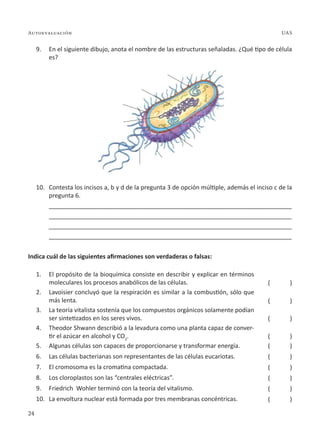 24
Autoevaluación UAS
9. En el siguiente dibujo, anota el nombre de las estructuras señaladas. ¿Qué tipo de célula
es?
10. Contesta los incisos a, b y d de la pregunta 3 de opción múltiple, además el inciso c de la
pregunta 6.
________________________________________________________________________
________________________________________________________________________
________________________________________________________________________
________________________________________________________________________
Indica cuál de las siguientes afirmaciones son verdaderas o falsas:
1. El propósito de la bioquímica consiste en describir y explicar en términos
moleculares los procesos anabólicos de las células.
2. Lavoisier concluyó que la respiración es similar a la combustión, sólo que
más lenta.
3. La teoría vitalista sostenía que los compuestos orgánicos solamente podían
ser sintetizados en los seres vivos.
4. Theodor Shwann describió a la levadura como una planta capaz de conver-
tir el azúcar en alcohol y CO2
.
5. Algunas células son capaces de proporcionarse y transformar energía.
6. Las células bacterianas son representantes de las células eucariotas.
7. El cromosoma es la cromatina compactada.
8. Los cloroplastos son las “centrales eléctricas”.
9. Friedrich Wohler terminó con la teoría del vitalismo.
10. La envoltura nuclear está formada por tres membranas concéntricas.
( )
( )
( )
( )
( )
( )
( )
( )
( )
( )
 