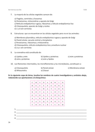 26
Autoevaluación UAS
7. La mayoría de las células vegetales carecen de:
a) Flagelos, centríolos y lisosomas
b) Peroxisomas, mitocondrias y aparato de Golgi
c) Retículo endoplásmico rugoso, ribosomas y retículo endoplásmico liso
d) Citoesqueleto, aparato de Golgi y núcleo
e) c y d son correctas
8. Estructuras que se encuentran en las células vegetales pero no en las animales:
a) Membrana plasmática, retículo endoplásmico rugoso y aparato de Golgi
b) Pared celular, vacuola central y cloroplastos
c) Peroxisomas, ribosomas y mitocondrias
d) Citoesqueleto, retículo endoplásmico liso y envoltura nuclear
e) a y c son correctas
9. La cromatina está constituida de:
a) Lípidos y arn b) Lípidos y proteínas c) adn y proteínas
d) arn y proteínas e) adn y lípidos
10. Los filamentos intermedios, los microfilamentos y los microtúbulos, constituyen a:
a) Citoesqueleto b) Pared celular c) Membrana celular
d) Mitocondria e) Citosol
En la siguiente sopa de letras, localiza los nombres de cuatro investigadores y anótalos abajo,
redactando sus aportaciones a la bioquímica:
c m s d a r w i n
h e f e p u n n e
a n l w a t s o n
r d t a s l d t c
g e o a t s o g q
a l k r e b s e c
f a y q u r n y v
f b o c r i c k m
1. ______________________________________________________________________
2. ______________________________________________________________________
3. ______________________________________________________________________
4. ______________________________________________________________________
 