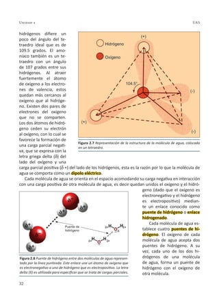 32
Unidad 2 UAS
hidrógenos difiere un
poco del ángulo del te-
traedro ideal que es de
109.5 grados. El amo-
niaco también es un te-
traedro con un ángulo
de 107 grados entre sus
hidrógenos. Al atraer
fuertemente el átomo
de oxígeno a los electro-
nes de valencia, estos
quedan más cercanos al
oxígeno que al hidróge-
no. Existen dos pares de
electrones del oxígeno
que no se comparten.
Los dos átomos de hidró-
geno ceden su electrón
al oxígeno, con lo cual se
favorece la formación de
una carga parcial negati-
va, que se expresa con la
letra griega delta (d) del
lado del oxígeno y una
carga parcial positiva (d +) del lado de los hidrógenos, esta es la razón por lo que la molécula de
agua se comporta como un dipolo eléctrico.
Cada molécula de agua se orienta en el espacio acomodando su carga negativa en interacción
con una carga positiva de otra molécula de agua, es decir quedan unidos el oxígeno y el hidró-
geno (dado que el oxígeno es
electronegativo y el hidrógeno
es electropositivo) median-
te un enlace conocido como
puente de hidrógeno o enlace
hidrogenado.
Cada molécula de agua es-
tablece cuatro puentes de hi-
drógeno. El oxígeno de cada
molécula de agua acepta dos
puentes de hidrógeno. A su
vez, cada uno de los dos hi-
drógenos de una molécula
de agua, forma un puente de
hidrógeno con el oxígeno de
otra molécula.
Figura 2.7 Representación de la estructura de la molécula de agua, colocada
en un tetraedro.
Figura 2.8 Puente de hidrógeno entre dos moléculas de agua represen-
tado por la línea punteada. Este enlace une un átomo de oxígeno que
es electronegativo a uno de hidrógeno que es electropositivo. La letra
delta (δ) es utilizada para especificar que se trata de cargas parciales.
 