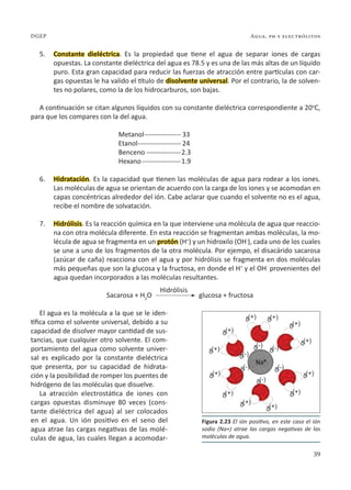 39
Agua, ph y electrólitos
DGEP
5. Constante dieléctrica. Es la propiedad que tiene el agua de separar iones de cargas
opuestas. La constante dieléctrica del agua es 78.5 y es una de las más altas de un líquido
puro. Esta gran capacidad para reducir las fuerzas de atracción entre partículas con car-
gas opuestas le ha valido el título de disolvente universal. Por el contrario, la de solven-
tes no polares, como la de los hidrocarburos, son bajas.
A continuación se citan algunos líquidos con su constante dieléctrica correspondiente a 20o
C,
para que los compares con la del agua.
Metanol----------------- 33
Etanol-------------------- 24
Benceno----------------2.3
Hexano------------------1.9
6. Hidratación. Es la capacidad que tienen las moléculas de agua para rodear a los iones.
Las moléculas de agua se orientan de acuerdo con la carga de los iones y se acomodan en
capas concéntricas alrededor del ión. Cabe aclarar que cuando el solvente no es el agua,
recibe el nombre de solvatación.
7. Hidrólisis. Es la reacción química en la que interviene una molécula de agua que reaccio-
na con otra molécula diferente. En esta reacción se fragmentan ambas moléculas, la mo-
lécula de agua se fragmenta en un protón (H+
) y un hidroxilo (OH-
), cada uno de los cuales
se une a uno de los fragmentos de la otra molécula. Por ejempo, el disacárido sacarosa
(azúcar de caña) reacciona con el agua y por hidrólisis se fragmenta en dos moléculas
más pequeñas que son la glucosa y la fructosa, en donde el H+
y el OH-
provenientes del
agua quedan incorporados a las moléculas resultantes.
Sacarosa + H2
O glucosa + fructosa
El agua es la molécula a la que se le iden-
tifica como el solvente universal, debido a su
capacidad de disolver mayor cantidad de sus-
tancias, que cualquier otro solvente. El com-
portamiento del agua como solvente univer-
sal es explicado por la constante dieléctrica
que presenta, por su capacidad de hidrata-
ción y la posibilidad de romper los puentes de
hidrógeno de las moléculas que disuelve.
La atracción electrostática de iones con
cargas opuestas disminuye 80 veces (cons-
tante dieléctrica del agua) al ser colocados
en el agua. Un ión positivo en el seno del
agua atrae las cargas negativas de las molé-
culas de agua, las cuales llegan a acomodar-
Figura 2.23 El ión positivo, en este caso el ión
sodio (Na+) atrae las cargas negativas de las
moléculas de agua.
Hidrólisis
 