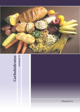 Bioquímica
Carbohidratos
unidad
3
 