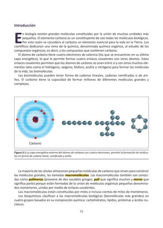 53
Introducción
E
n biología existen grandes moléculas constituidas por la unión de muchas unidades más
pequeñas. El elemento carbono es un constituyente de casi todas las moléculas biológicas.
Por esta razón se considera al carbono un elemento esencial para la vida en la Tierra. Los
científicos dedicaron una rama de la química, denominada química orgánica, al estudio de los
compuestos orgánicos; es decir, a los compuestos que contienen carbono.
El átomo de carbono tiene cuatro electrones de valencia (los que se encuentran en su última
capa energética), lo que le permite formar cuatro enlaces covalentes con otros átomos. Estos
enlaces covalentes permiten que los átomos de carbono se unan entre sí y con otros muchos ele-
mentos tales como el hidrógeno, oxígeno, fósforo, azufre y nitrógeno para formar las moléculas
de la vida, las biomoléculas.
Las biomoléculas pueden tener forma de cadenas lineales, cadenas ramificadas o de ani-
llos. El carbono tiene la capacidad de formar millones de diferentes moléculas grandes y
complejas.
La mayoría de las células almacenan pequeñas moléculas de carbono que sirven para construir
las moléculas grandes, las llamadas macromoléculas. Las macromoléculas también son conoci-
das como polímeros (proviene de dos vocablos griegos: poli que significa muchos y meros que
significa parte) porque están formadas de la unión de moléculas orgánicas pequeñas denomina-
dos monómeros, unidas por medio de enlaces covalentes.
Las macromoléculas están constituidas por miles o incluso cientos de miles de monómeros.
Los bioquímicos clasifican a las macromoléculas biológicas (biomoléculas más grandes) en
cuatro grupos basados en su composición química: carbohidratos, lípidos, proteínas y ácidos nu-
cleicos.
Figura 3.1 La capa energética externa del átomo de carbono con cuatro electrones, permite la formación de molécu-
las en forma de cadena lineal, ramificada y anillo.
 