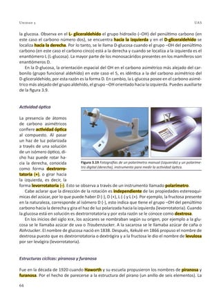 64
Unidad 3 UAS
la glucosa. Observa en el L- gliceraldehído el grupo hidroxilo (–OH) del penúltimo carbono (en
este caso el carbono número dos), se encuentra hacia la izquierda y en el D-gliceraldehído se
localiza hacia la derecha. Por lo tanto, se le llama D-glucosa cuando el grupo –OH del penúltimo
carbono (en este caso el carbono cinco) está a la derecha y cuando se localiza a la izquierda es el
enantiómero L (L-glucosa). La mayor parte de los monosacáridos presentes en los mamíferos son
enantiómeros D.
En la D-glucosa, la orientación espacial del OH en el carbono asimétrico más alejado del car-
bonilo (grupo funcional aldehído) en este caso el 5, es idéntica a la del carbono asimétrico del
D-gliceraldehído, por esta razón es la forma D. En cambio, la L-glucosa posee en el carbono asimé-
trico más alejado del grupo aldehído, el grupo –OH orientado hacia la izquierda. Puedes auxiliarte
de la figura 3.9.
Actividad óptica
La presencia de átomos
de carbono asimétricos
confiere actividad óptica
al compuesto. Al pasar
un haz de luz polarizada
a través de una solución
de un isómero óptico, di-
cho haz puede rotar ha-
cia la derecha, conocida
como forma dextrorro-
tatoria (+), o girar hacia
la izquierda, es decir, la
forma levorrotatoria (-). Esto se observa a través de un instrumento llamado polarímetro.
Cabe aclarar que la dirección de la rotación es independiente de las propiedades estereoquí-
micas del azúcar, por lo que puede haber D (-), D (+), L (-) y L (+). Por ejemplo, la fructosa presente
en la naturaleza, corresponde al isómero D (-), esto indica que tiene el grupo –OH del penúltimo
carbono hacia la derecha y gira el haz de luz polarizada hacia la izquierda (levorrotatoria). Cuando
la glucosa está en solución es dextrorrotatoria y por esta razón se le conoce como dextrosa.
En los inicios del siglo xix, los azúcares se nombraban según su origen, por ejemplo a la glu-
cosa se le llamaba azúcar de uva o Traubenzucker. A la sacarosa se le llamaba azúcar de caña o
Rohrzucker. El nombre de glucosa nació en 1838. Después, Kekulé en 1866 propuso el nombre de
dextrosa puesto que es dextrorrotatoria o dextrógira y a la fructosa le dio el nombre de levulosa
por ser levógira (levorrotatoria).
Estructuras cíclicas: piranosa y furanosa
Fue en la década de 1920 cuando Haworth y su escuela propusieron los nombres de piranosa y
furanosa. Por el hecho de parecerse a la estructura del pirano (un anillo de seis elementos). La
Figura 3.19 Fotografías de un polarímetro manual (izquierda) y un polaríme-
tro digital (derecha), instrumento para medir la actividad óptica.
 