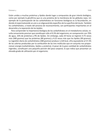 74
Unidad 3 UAS
Están unidos a muchas proteínas y lípidos dando lugar a compuestos de gran interés biológico,
como por ejemplo la glicofirina que es una proteína de la membrana de los glóbulos rojos. Un
ejemplo de la participación de los carbohidratos en funciones biológicas es la fecundación, en
donde el espermatozoide se une a un oligosacárido específico de la superficie del óvulo. También
los carbohidratos, a través del proceso de reconocimiento, son participantes importantes en el
desarrollo y la reparación de los tejidos.
Para comprender la importancia biológica de los carbohidratos en el metabolismo celular, re-
sulta conveniente precisar que constituyen sólo el 0.3% del organismo, en comparación con 70%
de agua, 16% de proteínas y 9% de lípidos. Sin embargo, cada 24 horas se ingieren 4.75 veces
más (380 gramos) que las proteínas (80 gramos) y 4.22 veces más que los lípidos (90 gramos).
La ingestión diaria de carbohidratos (380 gramos) produce 1,520 kcal, cifra equivalente al 57.3%
de las calorías producidas por la combustión de las tres moléculas que en conjunto nos propor-
cionan energía (carbohidratos, lípidos y proteína). A pesar de la gran cantidad de carbohidratos
ingeridos, constituyen una pequeña porción del peso corporal, lo que indica que presentan un
elevado grado de utilización por el organismo.
 