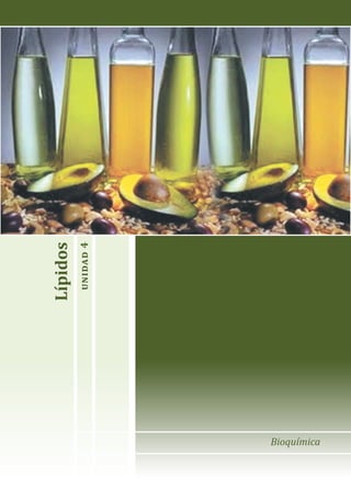 Bioquímica
Lípidos
unidad
4
 