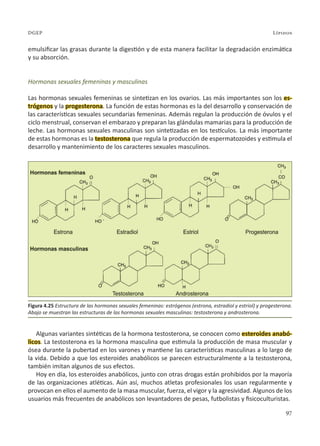 97
Lípidos
DGEP
emulsificar las grasas durante la digestión y de esta manera facilitar la degradación enzimática
y su absorción.
Hormonas sexuales femeninas y masculinas
Las hormonas sexuales femeninas se sintetizan en los ovarios. Las más importantes son los es-
trógenos y la progesterona. La función de estas hormonas es la del desarrollo y conservación de
las características sexuales secundarias femeninas. Además regulan la producción de óvulos y el
ciclo menstrual, conservan el embarazo y preparan las glándulas mamarias para la producción de
leche. Las hormonas sexuales masculinas son sintetizadas en los testículos. La más importante
de estas hormonas es la testosterona que regula la producción de espermatozoides y estimula el
desarrollo y mantenimiento de los caracteres sexuales masculinos.
Algunas variantes sintéticas de la hormona testosterona, se conocen como esteroides anabó-
licos. La testosterona es la hormona masculina que estimula la producción de masa muscular y
ósea durante la pubertad en los varones y mantiene las características masculinas a lo largo de
la vida. Debido a que los esteroides anabólicos se parecen estructuralmente a la testosterona,
también imitan algunos de sus efectos.
Hoy en día, los esteroides anabólicos, junto con otras drogas están prohibidos por la mayoría
de las organizaciones atléticas. Aún así, muchos atletas profesionales los usan regularmente y
provocan en ellos el aumento de la masa muscular, fuerza, el vigor y la agresividad. Algunos de los
usuarios más frecuentes de anabólicos son levantadores de pesas, futbolistas y fisicoculturistas.
Figura 4.25 Estructura de las hormonas sexuales femeninas: estrógenos (estrona, estradiol y estriol) y progesterona.
Abajo se muestran las estructuras de las hormonas sexuales masculinas: testosterona y androsterona.
 