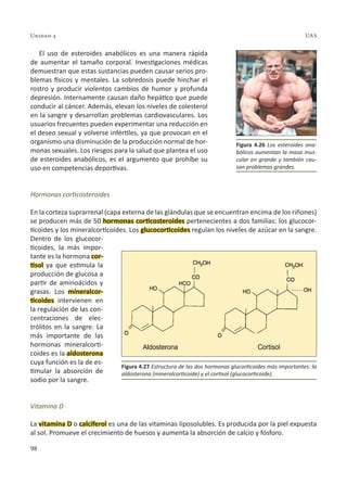 98
Unidad 4 UAS
El uso de esteroides anabólicos es una manera rápida
de aumentar el tamaño corporal. Investigaciones médicas
demuestran que estas sustancias pueden causar serios pro-
blemas físicos y mentales. La sobredosis puede hinchar el
rostro y producir violentos cambios de humor y profunda
depresión. Internamente causan daño hepático que puede
conducir al cáncer. Además, elevan los niveles de colesterol
en la sangre y desarrollan problemas cardiovasculares. Los
usuarios frecuentes pueden experimentar una reducción en
el deseo sexual y volverse infértiles, ya que provocan en el
organismo una disminución de la producción normal de hor-
monas sexuales. Los riesgos para la salud que plantea el uso
de esteroides anabólicos, es el argumento que prohíbe su
uso en competencias deportivas.
Hormonas corticosteroides
En la corteza suprarrenal (capa externa de las glándulas que se encuentran encima de los riñones)
se producen más de 50 hormonas corticosteroides pertenecientes a dos familias: los glucocor-
ticoides y los mineralcorticoides. Los glucocorticoides regulan los niveles de azúcar en la sangre.
Dentro de los glucocor-
ticoides, la más impor-
tante es la hormona cor-
tisol ya que estimula la
producción de glucosa a
partir de aminoácidos y
grasas. Los mineralcor-
ticoides intervienen en
la regulación de las con-
centraciones de elec-
trólitos en la sangre. La
más importante de las
hormonas mineralcorti-
coides es la aldosterona
cuya función es la de es-
timular la absorción de
sodio por la sangre.
Vitamina D
La vitamina D o calciferol es una de las vitaminas liposolubles. Es producida por la piel expuesta
al sol. Promueve el crecimiento de huesos y aumenta la absorción de calcio y fósforo.
Figura 4.26 Los esteroides ana-
bólicos aumentan la masa mus-
cular en grande y también cau-
san problemas grandes.
Figura 4.27 Estructura de las dos hormonas glucorticoides más importantes: la
aldosterona (mineralcorticoide) y el cortisol (glucocorticoide).
 