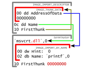 Exploring the Portable Executable format
