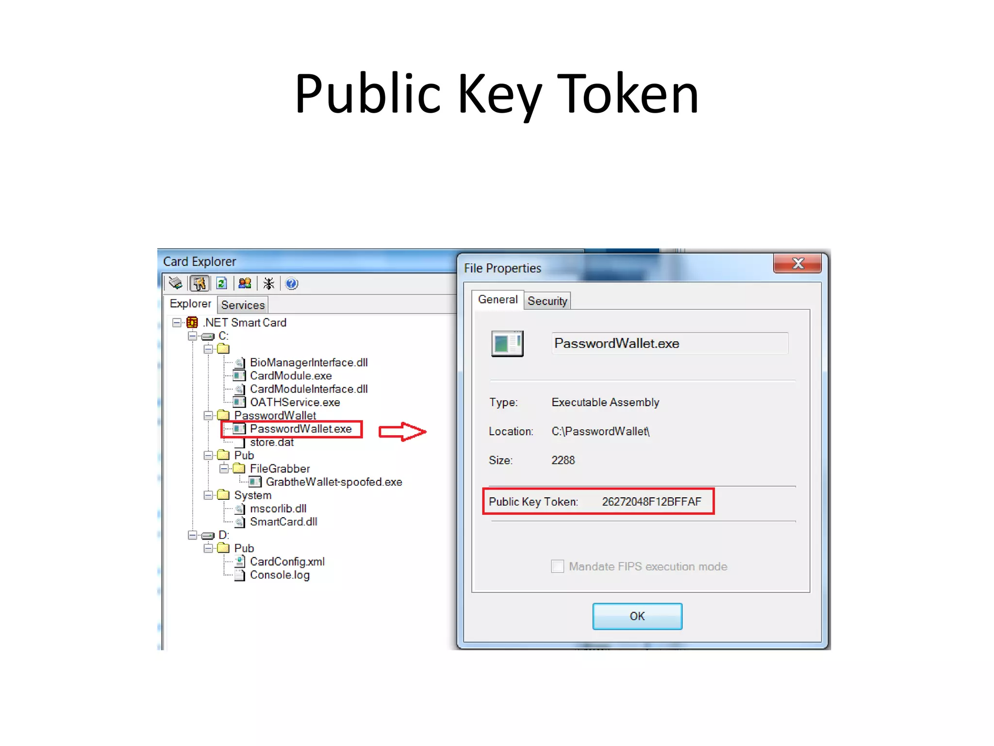 Public Key Token
 