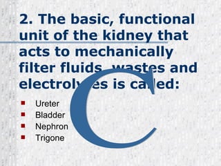 2. The basic, functional unit of the kidney that acts to mechanically filter fluids, wastes and electrolytes is called: Ureter Bladder Nephron Trigone C 