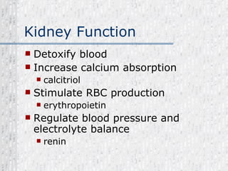 Kidney Function Detoxify blood Increase calcium absorption calcitriol Stimulate RBC production erythropoietin Regulate blood pressure and electrolyte balance  renin 