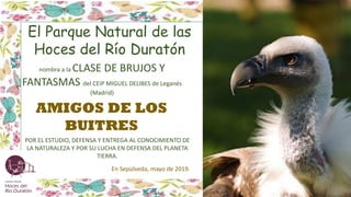 El Parque Natural de las
Hoces del Río Duratón
nombra a la CLASE DE BRUJOS Y
FANTASMAS del CEIP MIGUEL DELIBES de Leganés
(Madrid)
AMIGOS DE LOS
BUITRES
En Sepúlveda, mayo de 2019.
POR EL ESTUDIO, DEFENSA Y ENTREGA AL CONOCIMIENTO DE
LA NATURALEZA Y POR SU LUCHA EN DEFENSA DEL PLANETA
TIERRA.
 