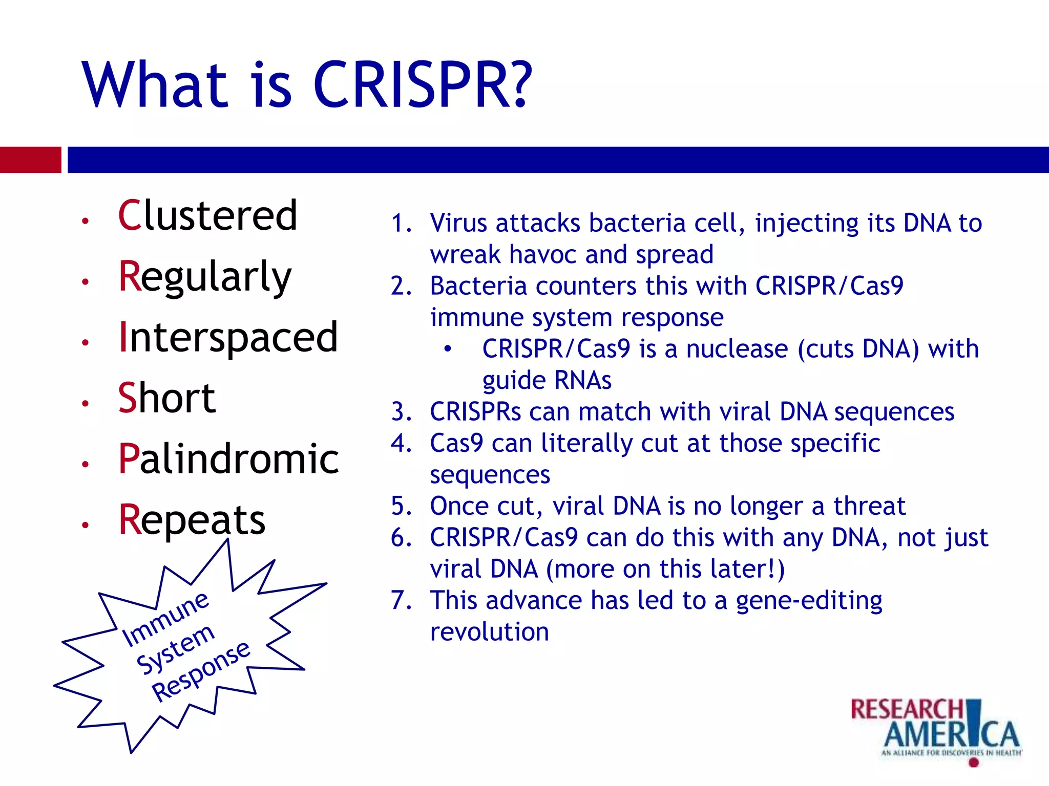 What is CRISPR?
• Clustered
• Regularly
• Interspaced
• Short
• Palindromic
• Repeats
1. Virus attacks bacteria cell, injecting its DNA to
wreak havoc and spread
2. Bacteria counters this with CRISPR/Cas9
immune system response
• CRISPR/Cas9 is a nuclease (cuts DNA) with
guide RNAs
3. CRISPRs can match with viral DNA sequences
4. Cas9 can literally cut at those specific
sequences
5. Once cut, viral DNA is no longer a threat
6. CRISPR/Cas9 can do this with any DNA, not just
viral DNA (more on this later!)
7. This advance has led to a gene-editing
revolution
 