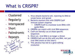What is CRISPR?
• Clustered
• Regularly
• Interspaced
• Short
• Palindromic
• Repeats
1. Virus attacks bacteria cell, injecting its DNA to
wreak havoc and spread
2. Bacteria counters this with CRISPR/Cas9
immune system response
• CRISPR/Cas9 is a nuclease (cuts DNA) with
guide RNAs
3. CRISPRs can match with viral DNA sequences
4. Cas9 can literally cut at those specific
sequences
5. Once cut, viral DNA is no longer a threat
6. CRISPR/Cas9 can do this with any DNA, not just
viral DNA (more on this later!)
7. This advance has led to a gene-editing
revolution
 