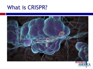 What is CRISPR?
 