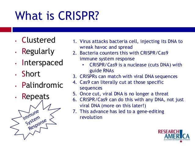 Αποτέλεσμα εικόνας για CRISPR