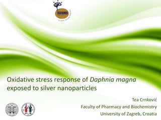 Oxidative stress response of Daphnia magna
exposed to silver nanoparticles
Tea Crnković
Faculty of Pharmacy and Biochemistry
University of Zagreb, Croatia
 