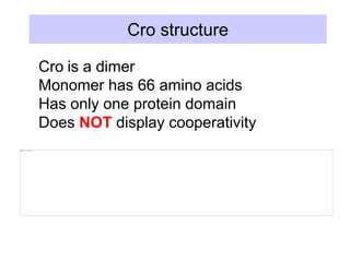 Cro structure
Cro is a dimer
Monomer has 66 amino acids
Has only one protein domain
Does NOT display cooperativity
 