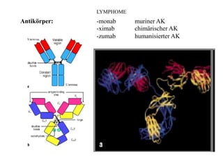 Antikörper: -monab
-ximab
-zumab
muriner AK
chimärischer AK
humanisierter AK
LYMPHOME
 
