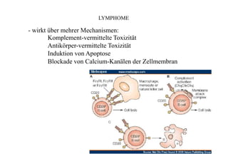 LYMPHOME
- wirkt über mehrer Mechanismen:
Komplement-vermittelte Toxizität
Antikörper-vermittelte Toxizität
Induktion von Apoptose
Blockade von Calcium-Kanälen der Zellmembran
 