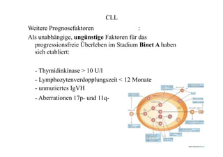 CLL
Weitere Prognosefaktoren :
Als unabhängige, ungünstige Faktoren für das
progressionsfreie Überleben im Stadium Binet A haben
sich etabliert:
- Thymidinkinase > 10 U/l
- Lymphozytenverdopplungszeit < 12 Monate
- unmutiertes IgVH
- Aberrationen 17p- und 11q-
 