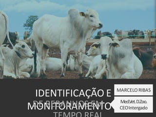 IDENTIFICAÇÃO E
MONITORAMENTODE REBANHOS EM
MARCELORIBAS
Med.Vet.D.Zoo.
CEOIntergado
 