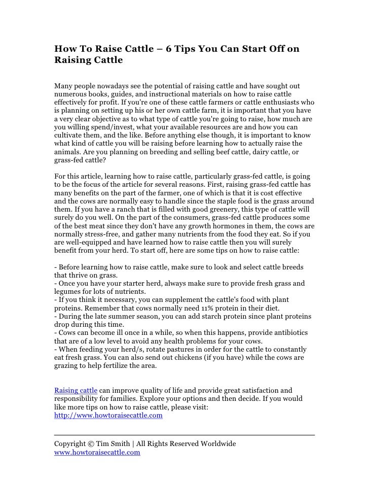 How To Raise Cattle 6 Tips You Can Start Off on Raising Cattle