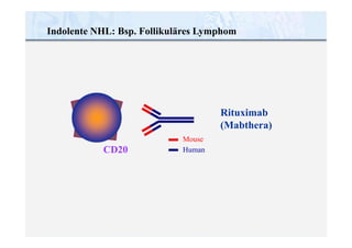 Human
CD20
Indolente NHL: Bsp. Follikuläres Lymphom
Rituximab
(Mabthera)
Mouse
 