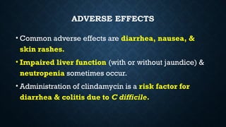44 STUDENTS Tetracyclines, Macrolides, Clindamycin, Chloramphenicol,.pptx
