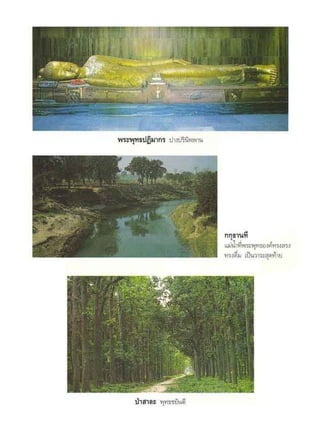 สุรีย์ มีผลกิจ   พุทธกิจ 45 พรรษา