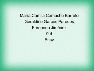 María Camila Camacho Barreto
 Geraldine Garcés Paredes
      Fernando Jiménez
             9-4
            Ensv
 