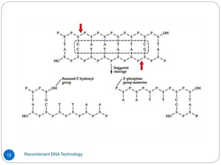Recombinant DNA Technology
12
 