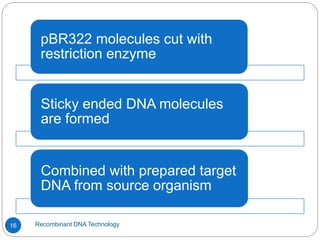 Recombinant DNA Technology
16
pBR322 molecules cut with
restriction enzyme
Sticky ended DNA molecules
are formed
Combined with prepared target
DNA from source organism
 
