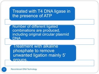 Recombinant DNA Technology
17
Treated with T4 DNA ligase in
the presence of ATP
Number of different ligated
combinations are produced,
including original circular plasmid
DNA
Treatment with alkaline
phosphate to remove
unwanted ligation mainly 5’
groups.
 