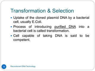 Transformation & Selection
Recombinant DNA Technology
19
 Uptake of the cloned plasmid DNA by a bacterial
cell, usually E.Coli.
 Process of introducing purified DNA into a
bacterial cell is called transformation.
 Cell capable of taking DNA is said to be
competent.
 