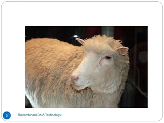 Recombinant DNA Technology
2
 