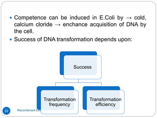 Recombinant DNA Technology
22
 Competence can be induced in E.Coli by → cold,
calcium cloride → enchance acquisition of DNA by
the cell.
 Success of DNA transformation depends upon:
Success
Transformation
frequency
Transformation
efficiency
 