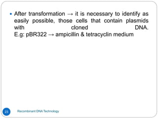 Recombinant DNA Technology
23
 After transformation → it is necessary to identify as
easily possible, those cells that contain plasmids
with cloned DNA.
E.g: pBR322 → ampicillin & tetracyclin medium
 