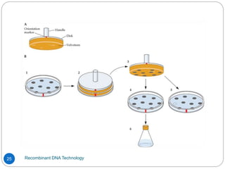 Recombinant DNA Technology
25
 