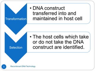Recombinant DNA Technology
5
Transformation
• DNA construct
transferred into and
maintained in host cell
Selection
• The host cells which take
or do not take the DNA
construct are identified.
 